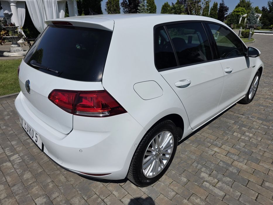 VOLKSWAGEN Golf 2014 — imagine 4
