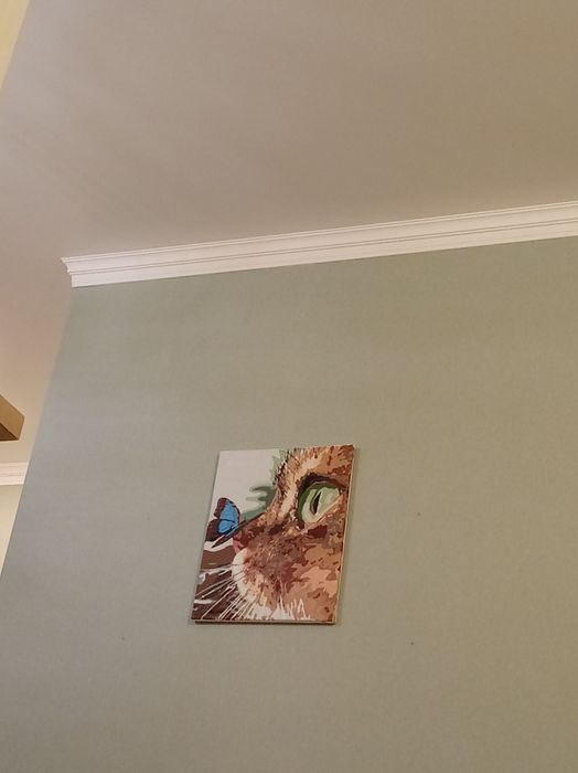 Картина по номерам