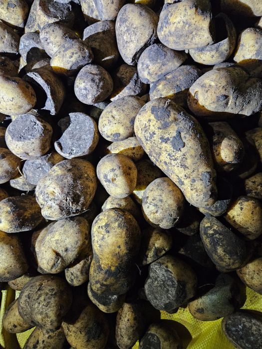 Картофель резанный оптом от мешка