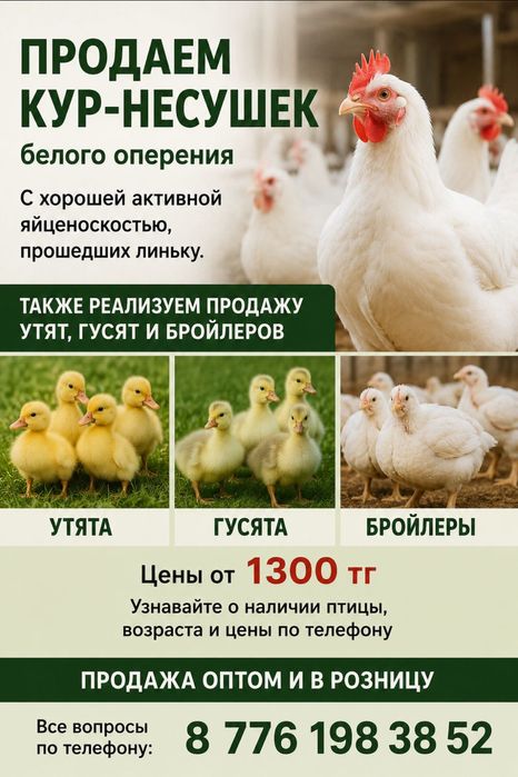 Продам курочек и петушков