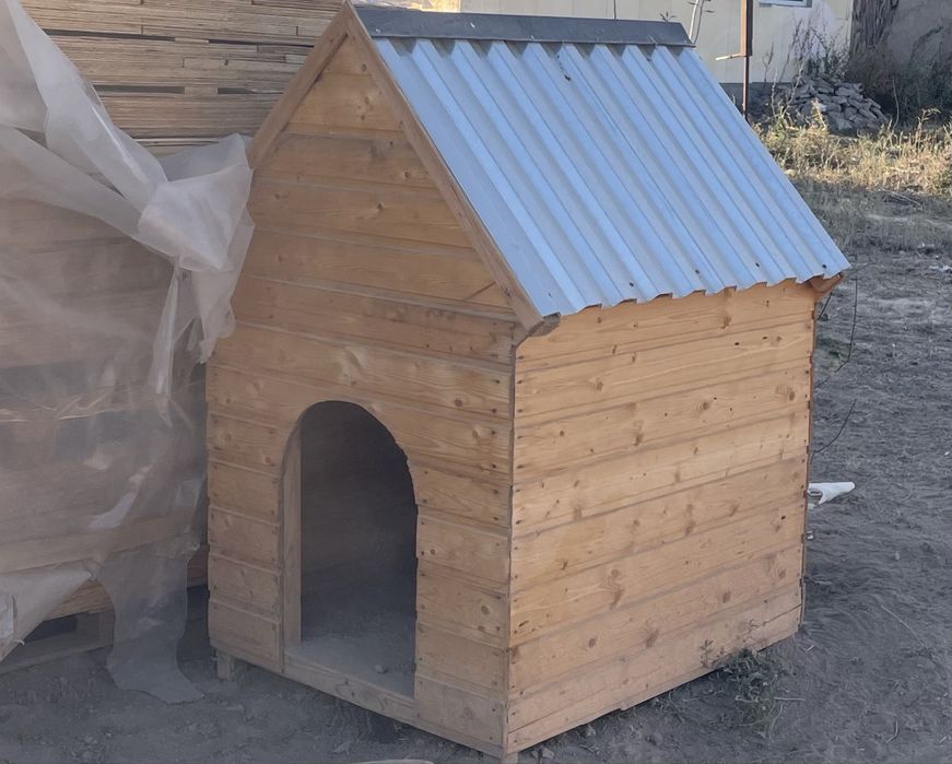 Продается собака Хаски (девочка)