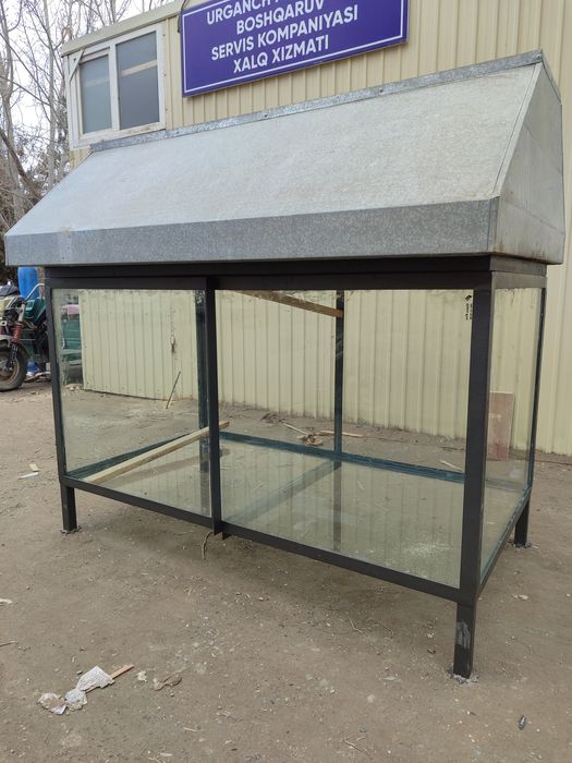 Akvarium baliq Saboy