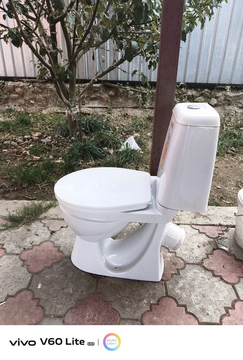 унитаз доя туалета