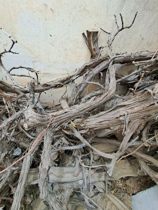 Srochno Aralash o'tin sotiladi