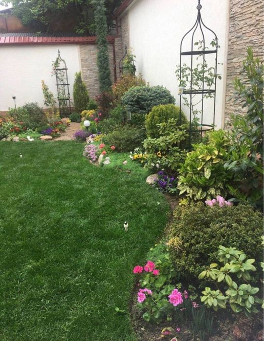 Gazon Газон екиш барча хизмати Халол!