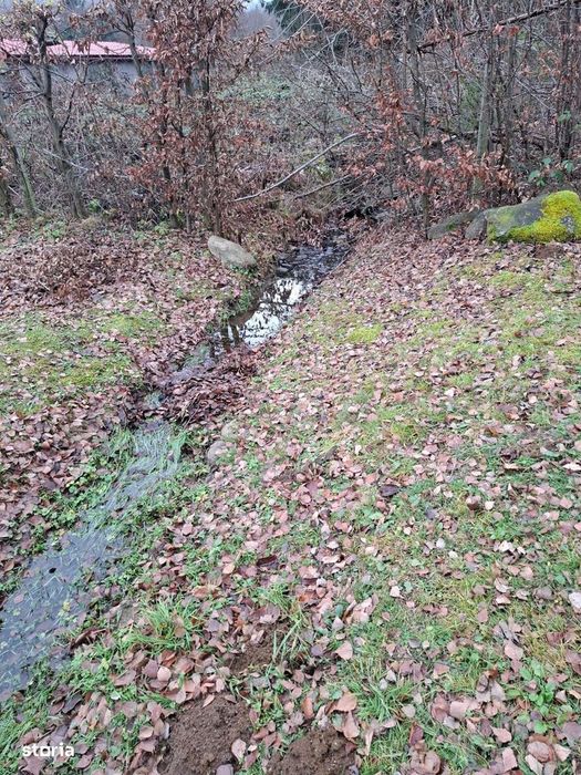 Teren 2000 mp, intravilan, langa padure,  pe Valea Avrigului-Sibiu