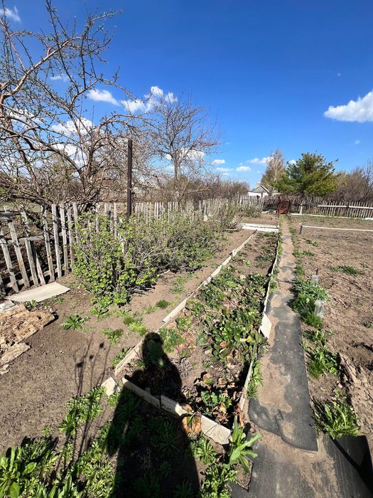 Продам дачу, сад здоровье