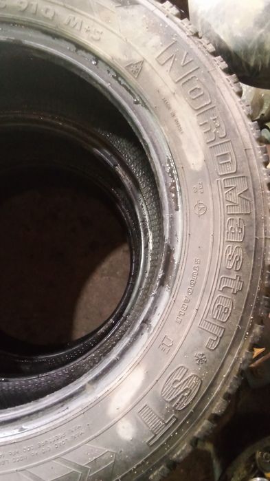 Продам три болона