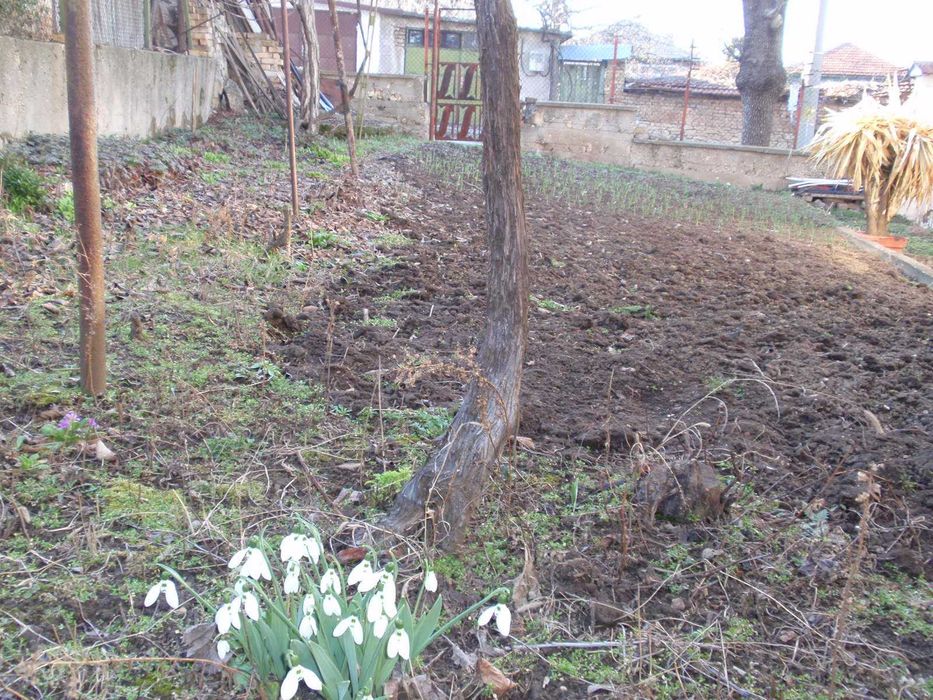 Продава се Къща в Разград, Център - 190 кв.м за 632 €/кв.м - Снимка #8