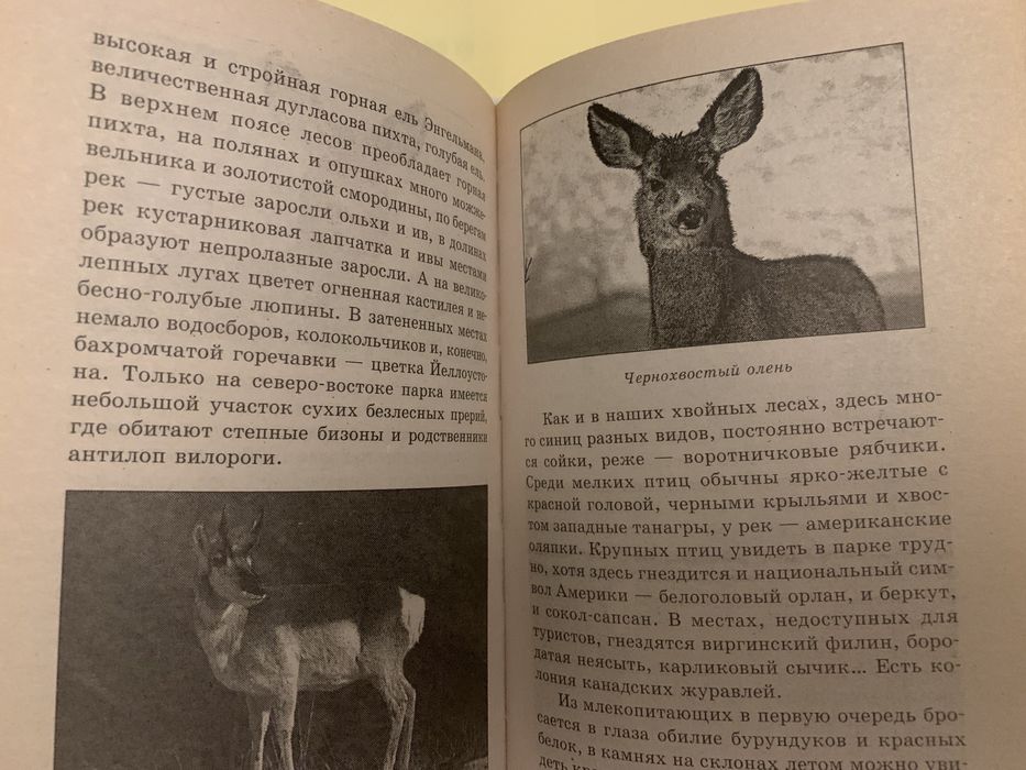 Энциклопедия цена 1500 тг