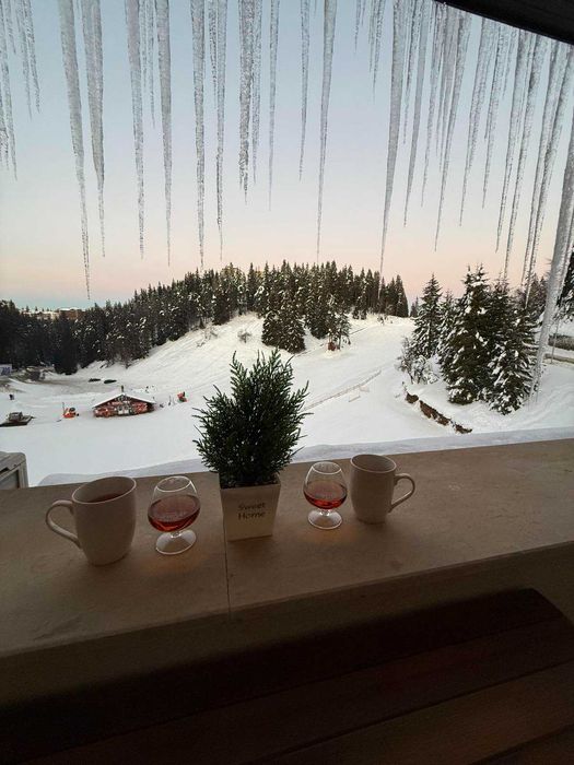 Дава се под наем Двустаен апартамент в к.к. Пампорово - 70 кв.м за 89.76 € - Снимка #5