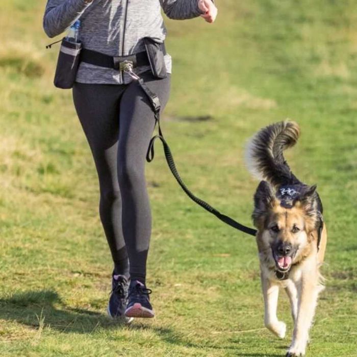 Колан за кръст с повод