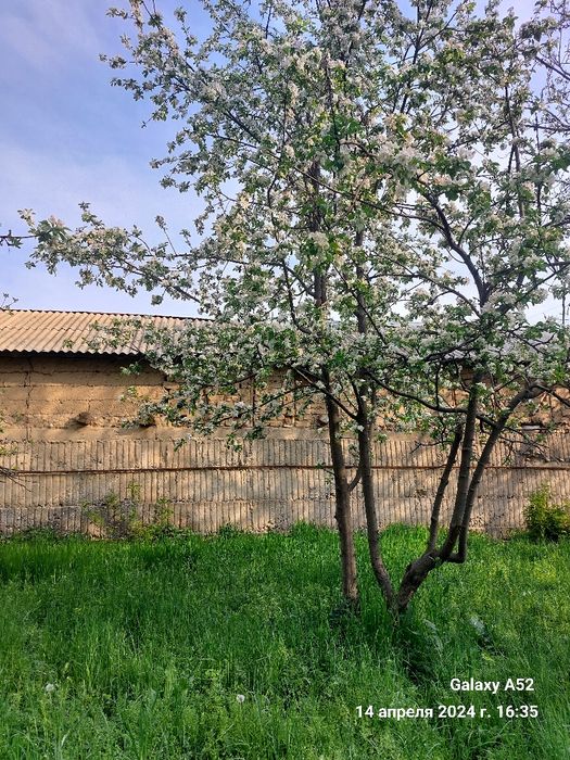 Продам зем.участок