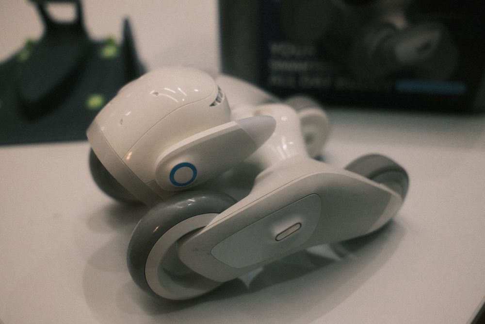 Loona Robot  - Sky edition