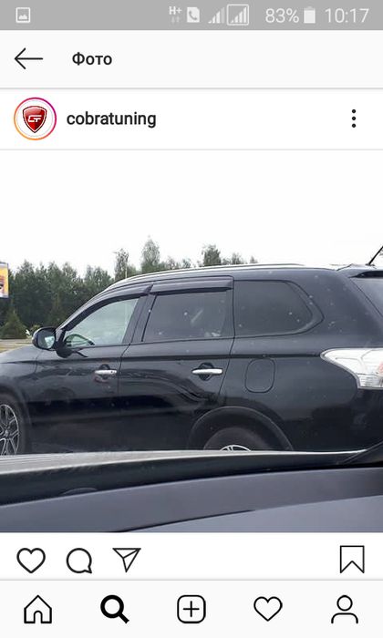 Ветровики Мухобойки