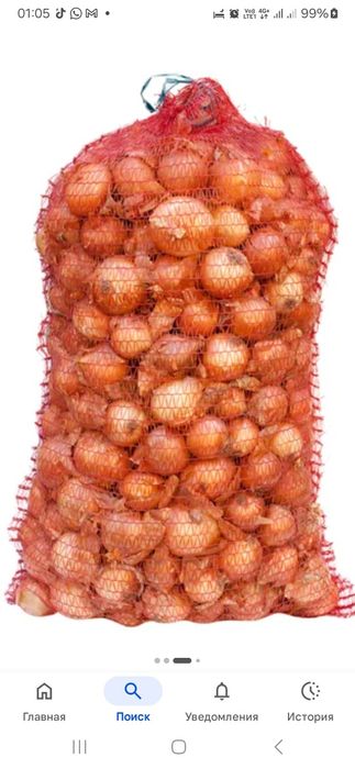 Лук оптом продаётся