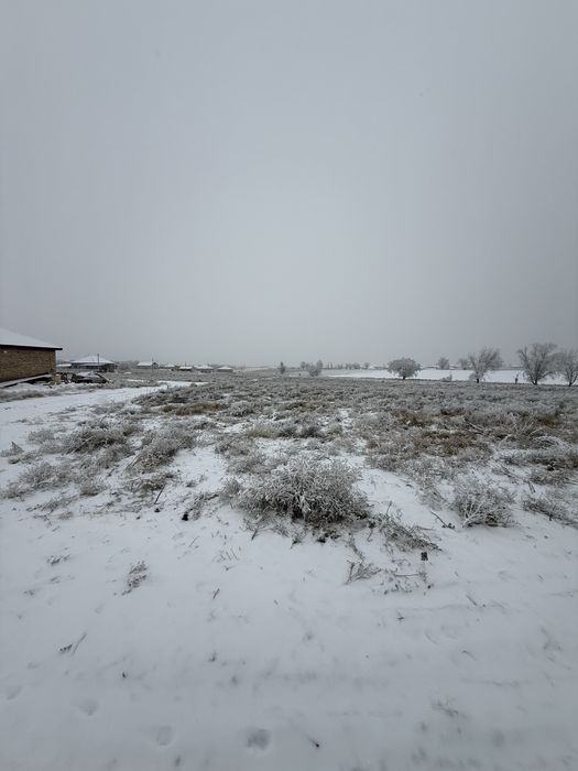 Сдам в аренду землю