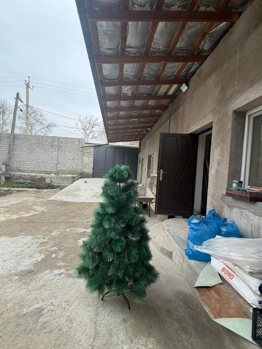 Продает новогодняя Ёлка