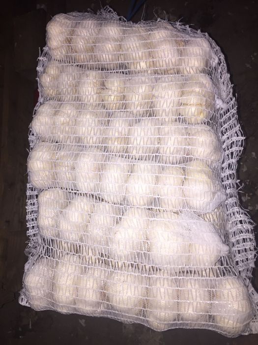 Vand usturoi calitatea I,pentru pus si de consum