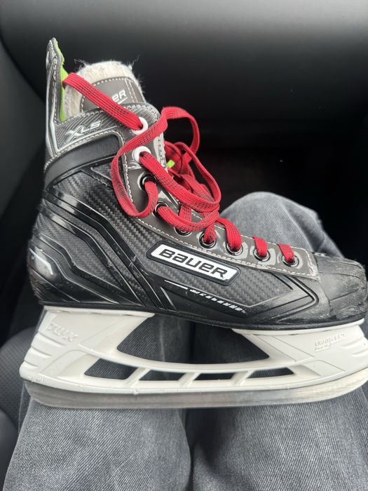 Bauer XLS.