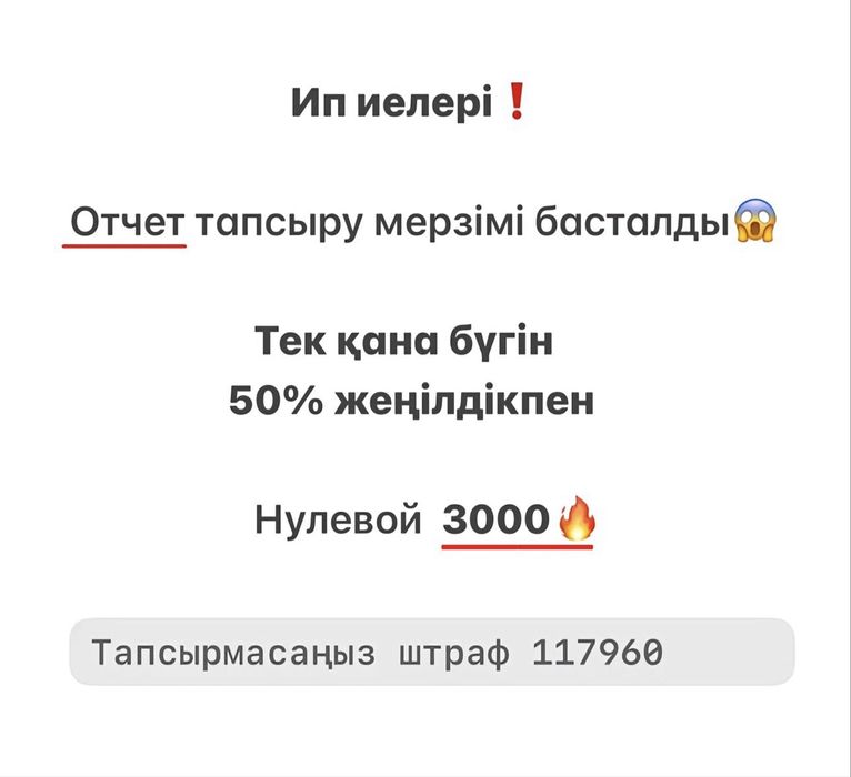 ИП отчет тапсыру/ашу/жабу