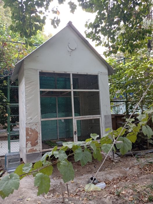 Elkrovelik 1 zaryata 60 kilametir yuradi