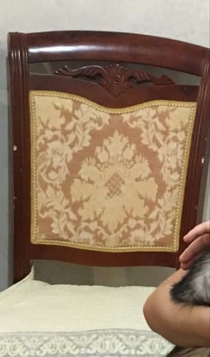 Стулья классика коричневый цвет мягкие большие