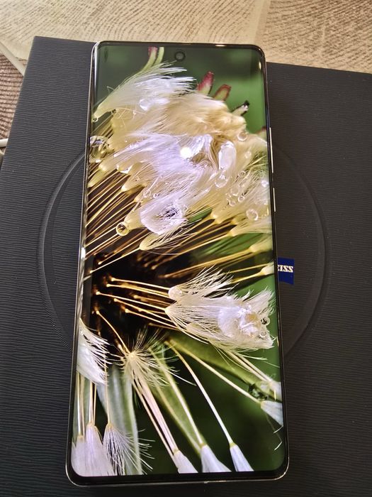 Vivo x100pro White