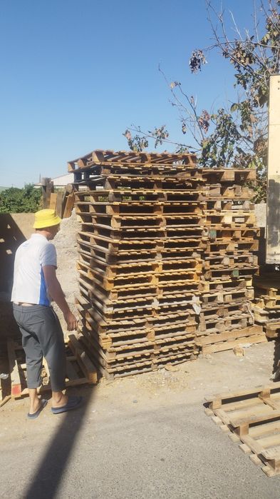 Paddon sotamiz xar xil turdagi paddon sotamiz