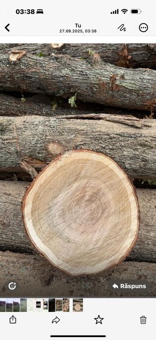 Lemn de foc Simeria 350 adus acasă