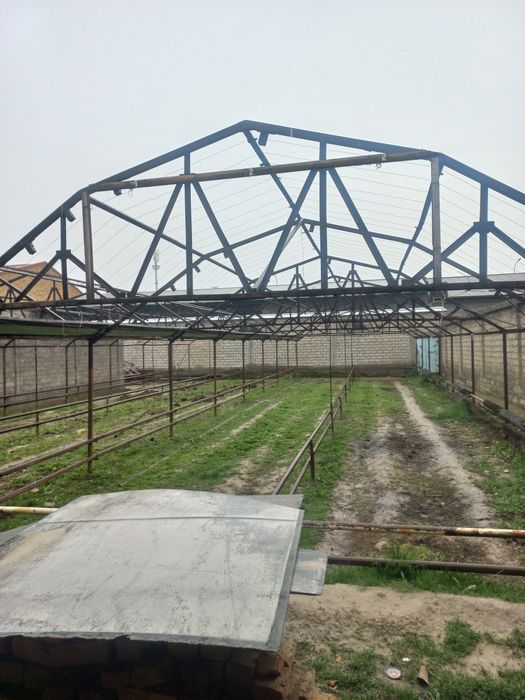 теплица исикхона