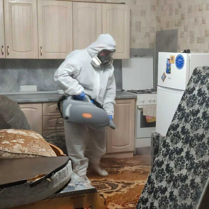 Dezinfeksiya 250 000 so'm Уничтожение тараканов клопов Дезинфекция