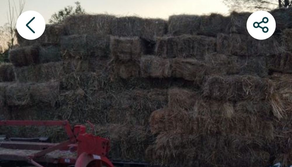 Vând baloți iarbă si de paie!