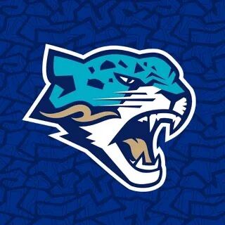 Флаг ХК Барыс