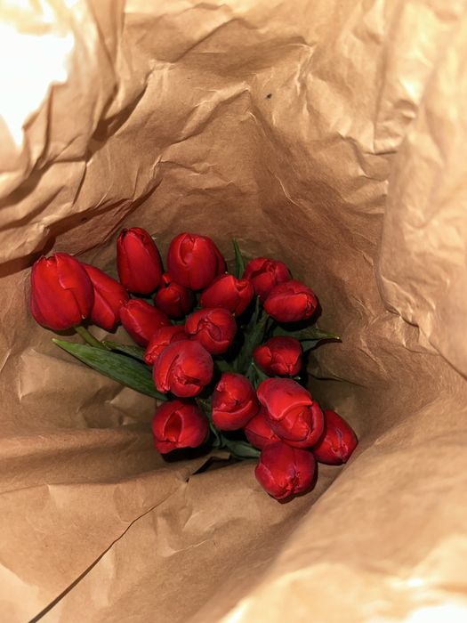 Цветы тюльпаны | Астана