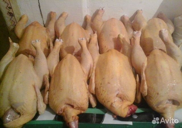 Продам мясо бройлеров