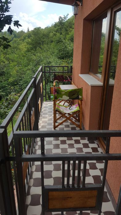 dau in chirie casa