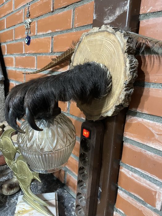 Светильник из лапы медведя