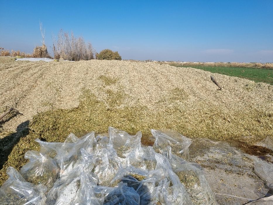 Makka silos sotiladi