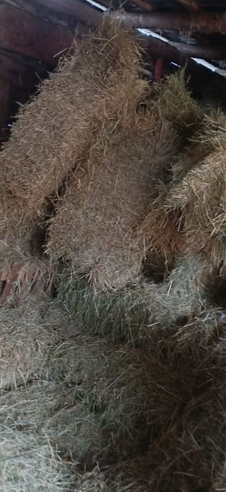 Vând baloți de fân