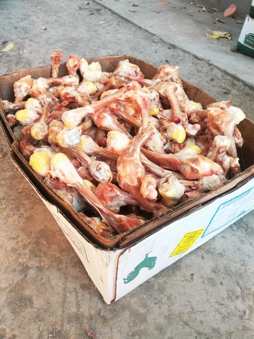 Колбаса для собак и кошек, корм для собак