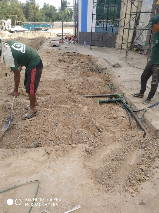 Газоны руллоний оптом смена Дания поливной системи