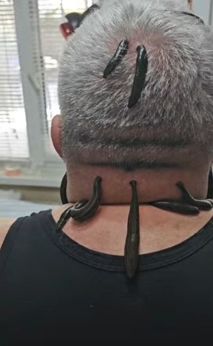 Zuluk va Xijoma  xizmati  ( VIZIF )