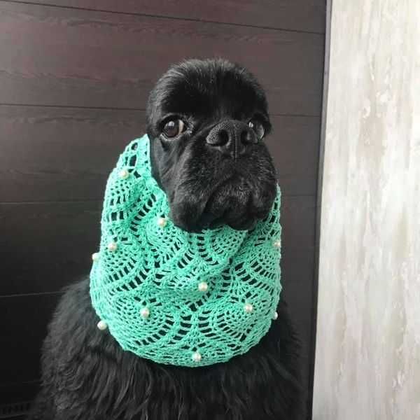 Вязанная одежда для собак.