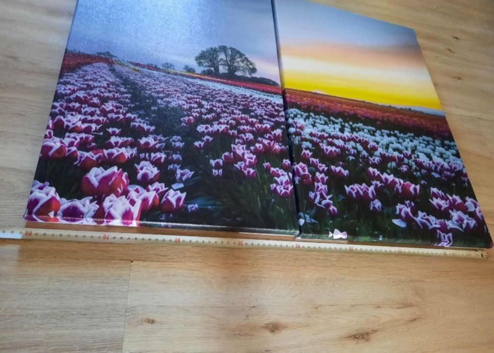 2 картины в гостиную за 8 тысяч.