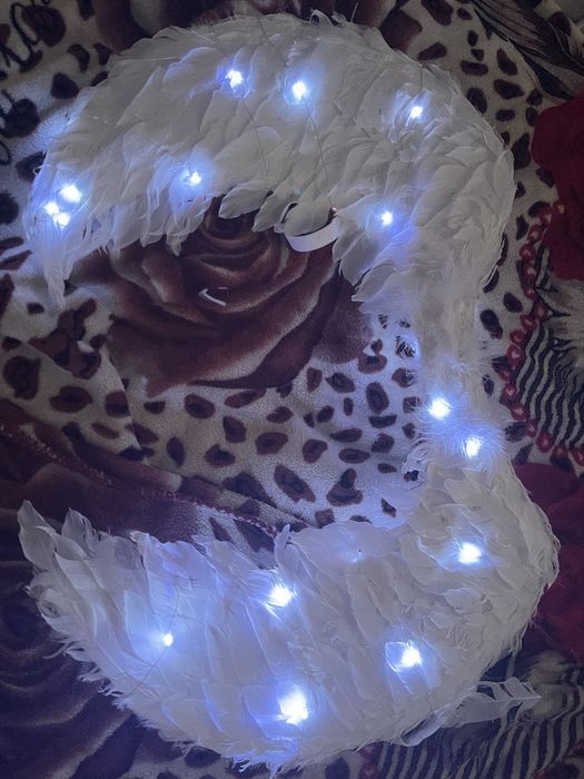 Крылья ангела с герляндой