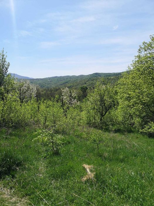 Vand teren intravilan Orsova, jud. Mehedinti