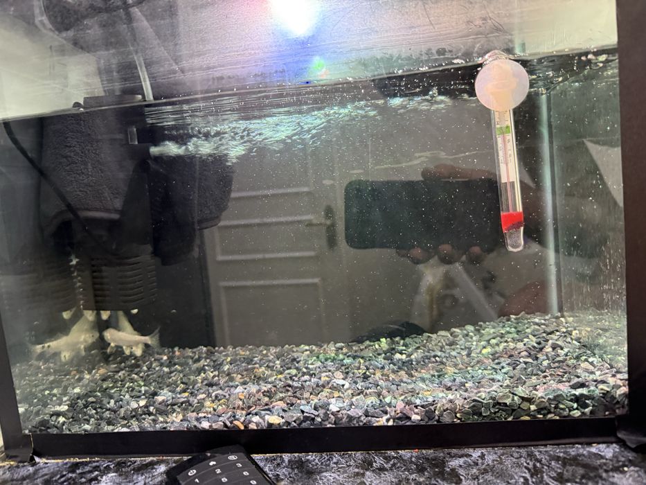 Akvarium va baliqlar sotiladi