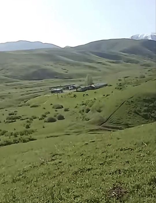 Фазенда, Кашар, Хозяйство