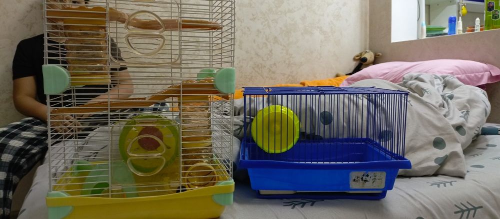 Клетки для хомяков